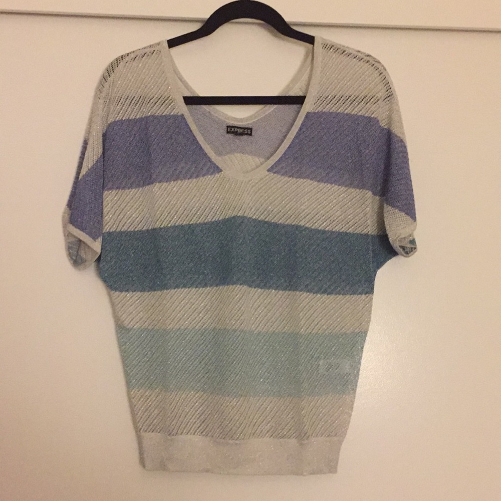 Express dolman sleeve shimmery sweater